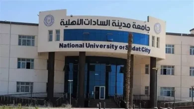 جامعة مدينة السادات
