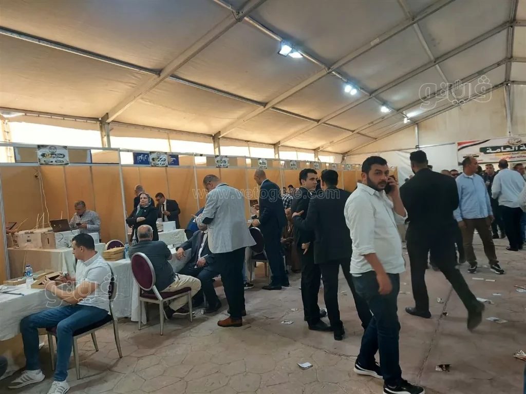صورة توضيحية للمقال